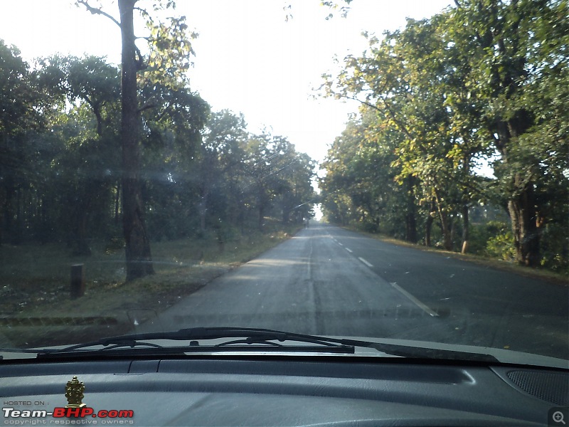 Taming the wild in my plucky Alto K10 - Roadtrip to Kanha & Tadoba (from Bangalore)-dsc02867.jpg