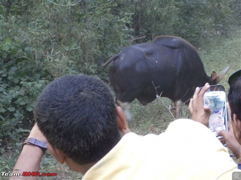 Taming the wild in my plucky Alto K10 - Roadtrip to Kanha & Tadoba (from Bangalore)-dsc02892.jpg