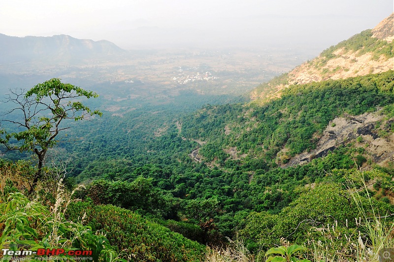 Treks around Mumbai: Karnala Bird Sanctuary & Kalavantin Durg-dsc_0098.jpg