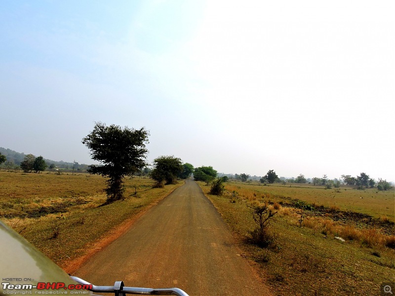 Waghoba at Tadoba-6a.jpg