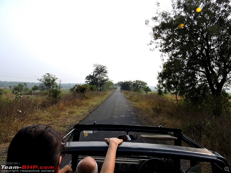 Waghoba at Tadoba-8.jpg