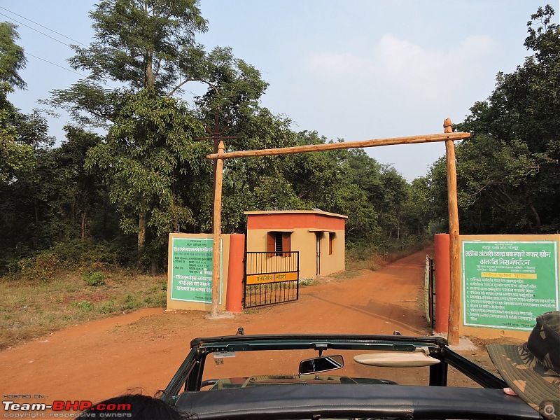 Waghoba at Tadoba-9.jpg