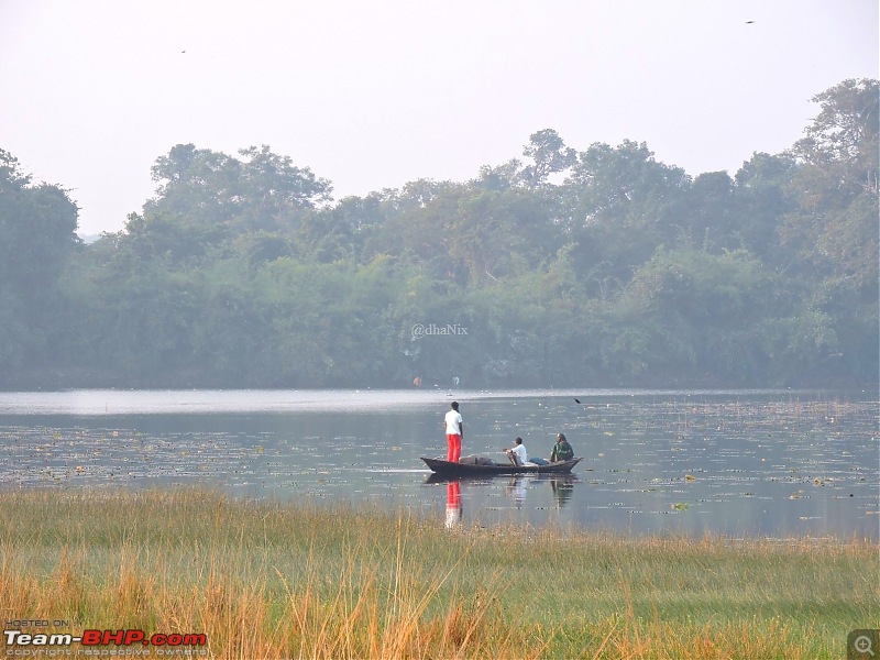 Waghoba at Tadoba-77.jpg