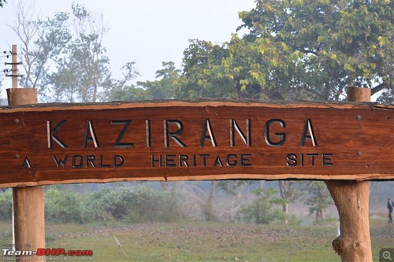 Experiencing Wildlife and Nature - Kaziranga National Park-dsc_1324.jpg