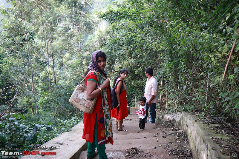 Yercaud in December-16_img_5288.jpg