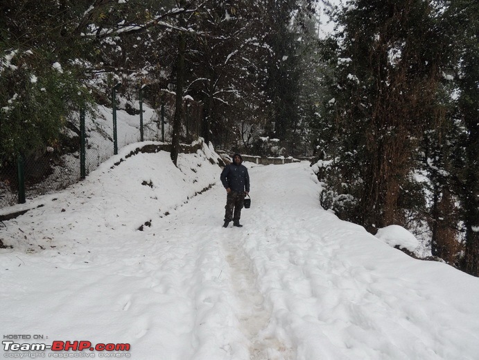 The White Album - Sarahan, Himachal Pradesh-dscn2882.jpg