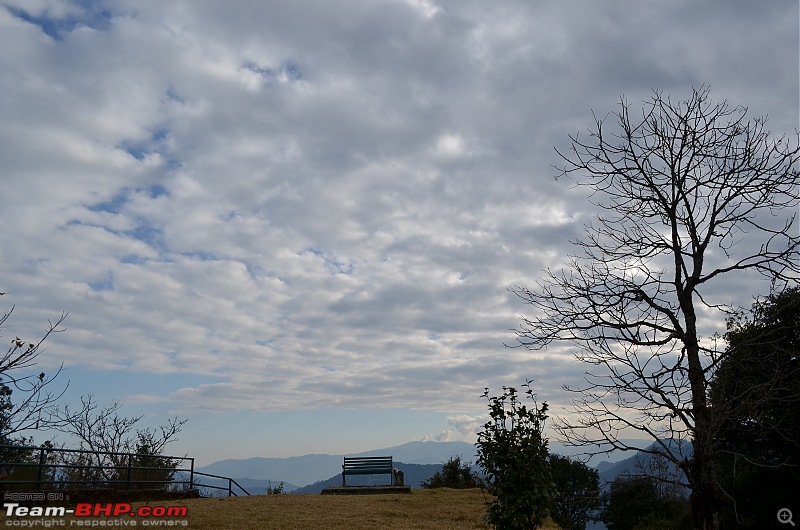 Mesmerizing Sandakphu - In a Mahindra Thar-dsc_02261.jpg