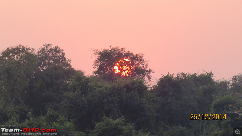 Tadoba: A Family's Winter Trip-sunset.png