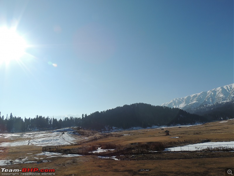 The White Album - Gulmarg, Kashmir-dscn2988.jpg
