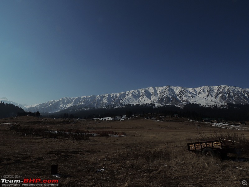 The White Album - Gulmarg, Kashmir-dscn2990.jpg