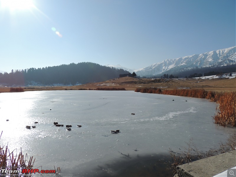 The White Album - Gulmarg, Kashmir-dscn2991.jpg