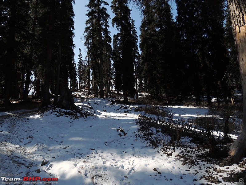 The White Album - Gulmarg, Kashmir-dscn3053.jpg