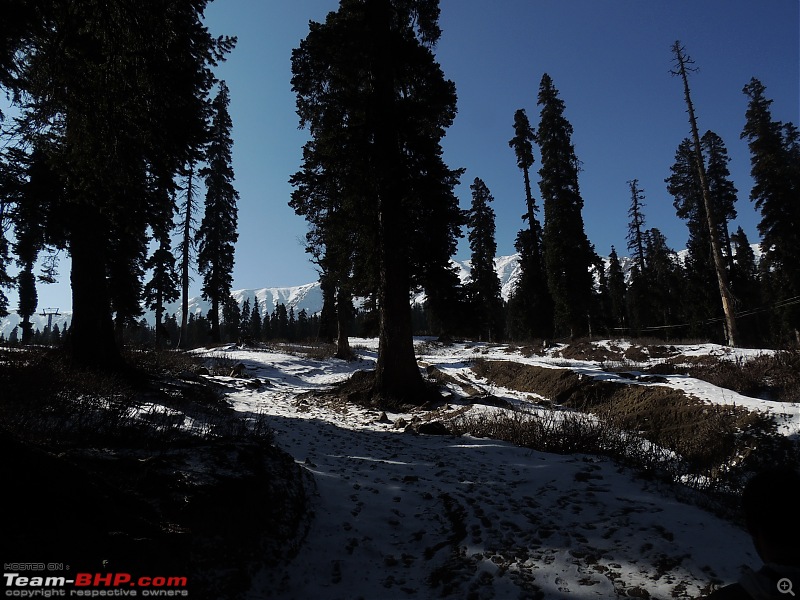 The White Album - Gulmarg, Kashmir-dscn3056.jpg