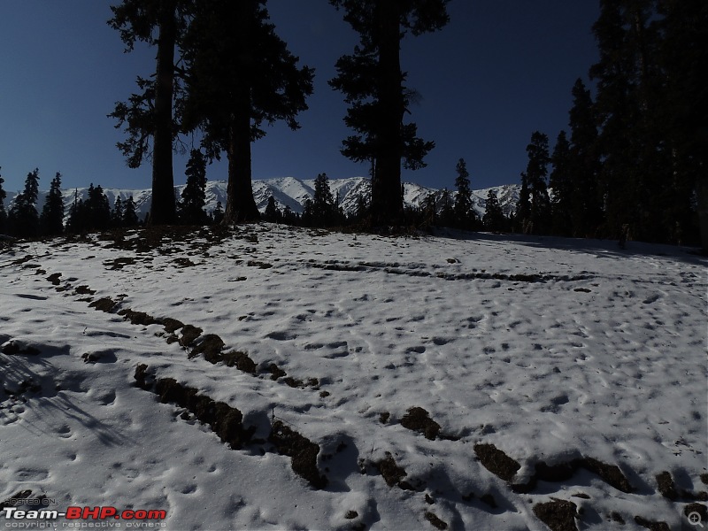 The White Album - Gulmarg, Kashmir-dscn3060.jpg