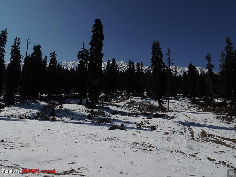 The White Album - Gulmarg, Kashmir-dscn3064.jpg