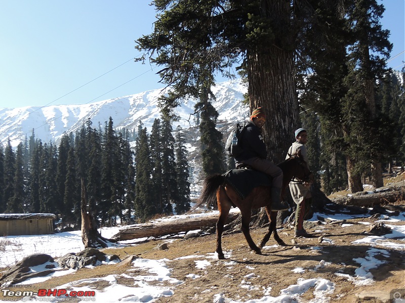 The White Album - Gulmarg, Kashmir-dscn3084.jpg