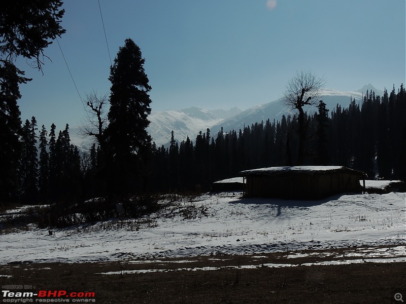The White Album - Gulmarg, Kashmir-dscn3087.jpg