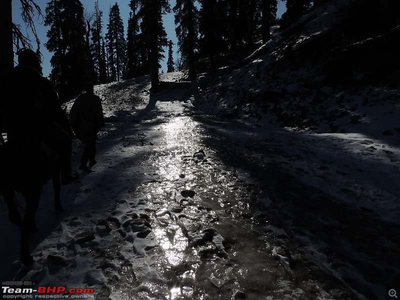 The White Album - Gulmarg, Kashmir-dscn3098.jpg
