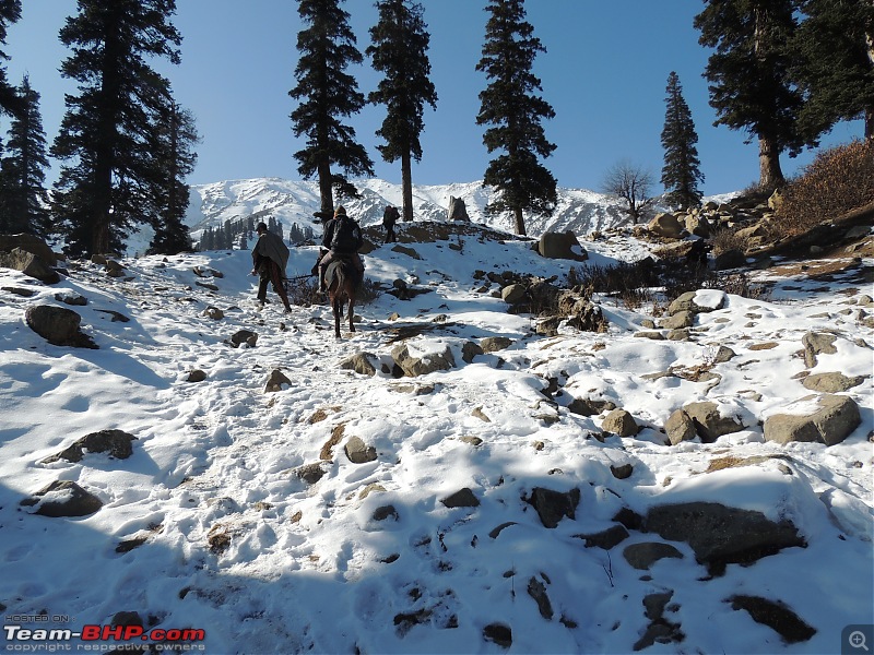 The White Album - Gulmarg, Kashmir-dscn3105.jpg