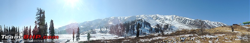 The White Album - Gulmarg, Kashmir-dscn3108.jpg