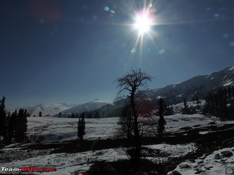 The White Album - Gulmarg, Kashmir-dscn3110.jpg
