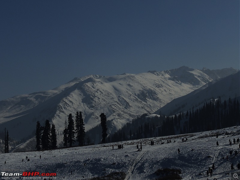 The White Album - Gulmarg, Kashmir-dscn3194.jpg