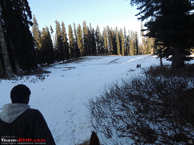 The White Album - Gulmarg, Kashmir-dscn3230.jpg