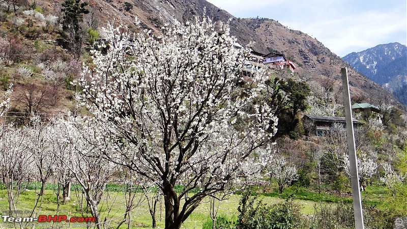 Tirthan Valley  A slice of divinity-scenery8.jpg