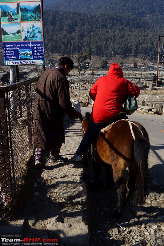 Kashmir in January: Srinagar (sans snow after floods), Gulmarg, Yousmarg & Pahalgam-pahalgam1-17k400.jpg