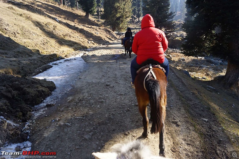 Kashmir in January: Srinagar (sans snow after floods), Gulmarg, Yousmarg & Pahalgam-pahalgam2-11k400.jpg