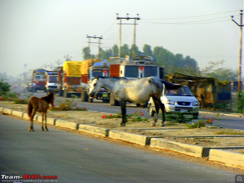 Delhi-Kolkata by Road | NH2 (now called NH19) in full detail-dsc05005k600.jpg