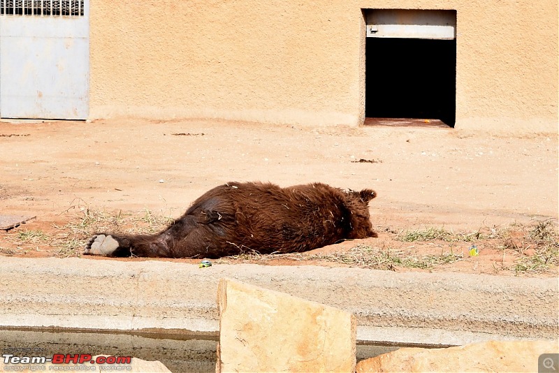 Life in the Kingdom - Riyadh-dsc_0482.jpg