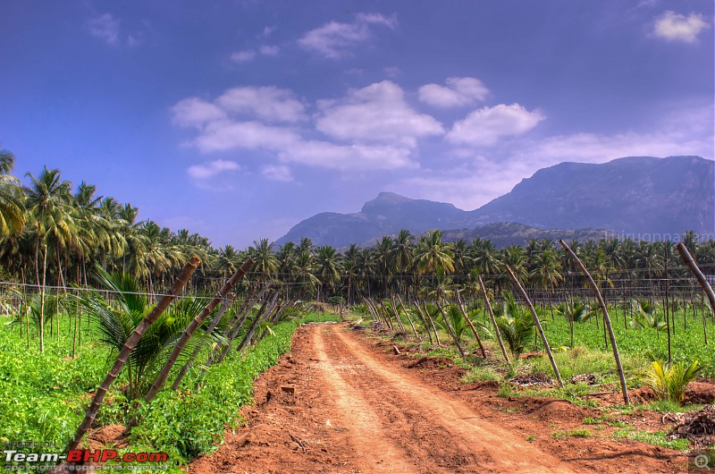 Killing kilometers softly: Episode Valparai-vaalparai125.jpg