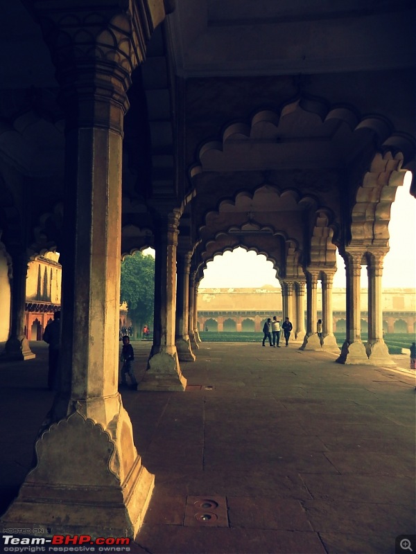 Epic Road-trip from Kolkata: Agra, Jaipur, Ranthambore & Orchha-dscn9101.jpg