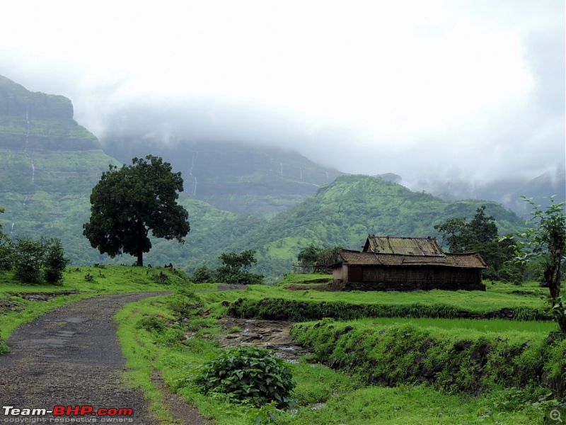 Malshej during the monsoons: One day escapade of two jobless BHPians-110.jpg