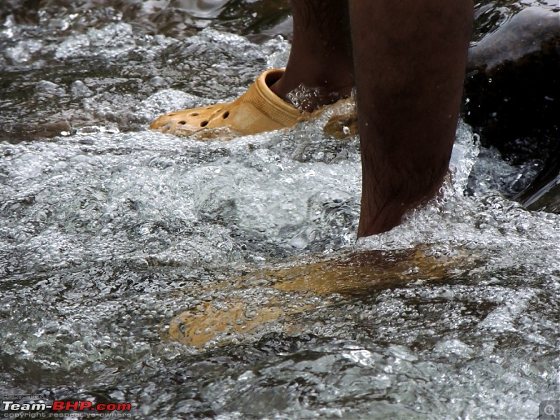 Malshej during the monsoons: One day escapade of two jobless BHPians-130.jpg