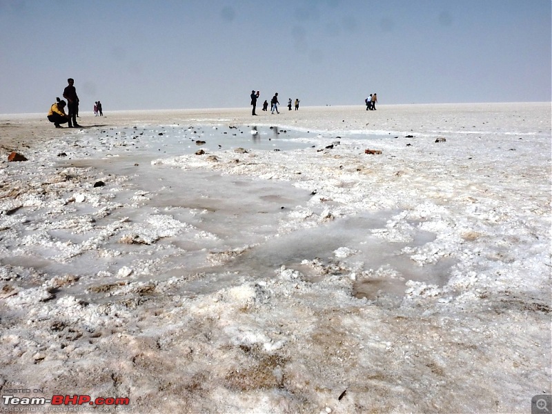 The Rann of Kutch - In a Honda Amaze-p1070408.jpg