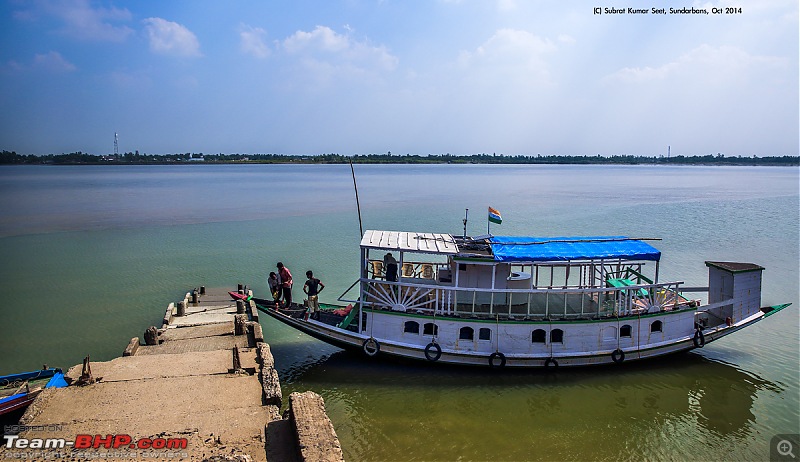 In search of the Legendary Swamp Tiger - Sundarbans Tiger Reserve-bcmt_str.jpg