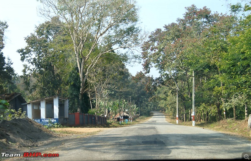 A Junglee prelude to a Sunny New Year - Dandeli & Goa-dsc02268.jpg