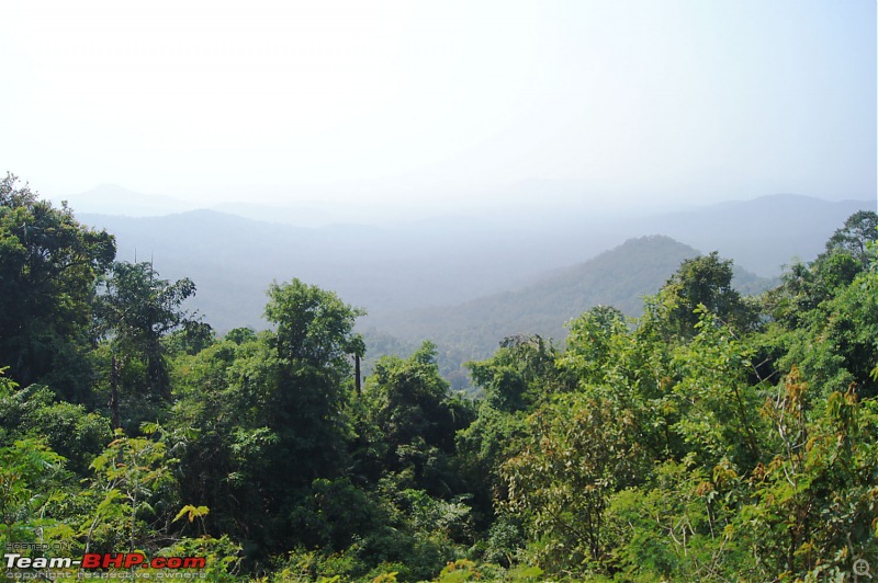 A Junglee prelude to a Sunny New Year - Dandeli & Goa-dsc02273.jpg