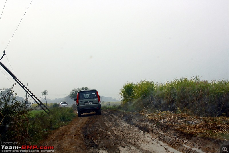 Satpura - Quick Jaunt, Quicker Log-_mg_7772.jpg