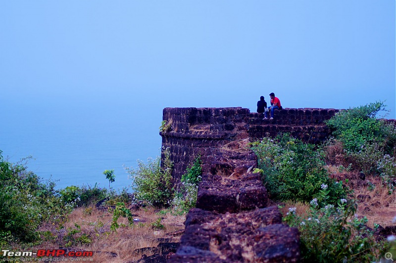 A Junglee prelude to a Sunny New Year - Dandeli & Goa-dsc02661.jpg