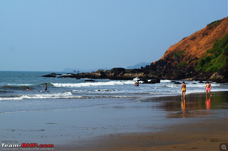 A Junglee prelude to a Sunny New Year - Dandeli & Goa-dsc02708.jpg