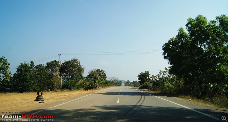 A Junglee prelude to a Sunny New Year - Dandeli & Goa-dsc02961.jpg