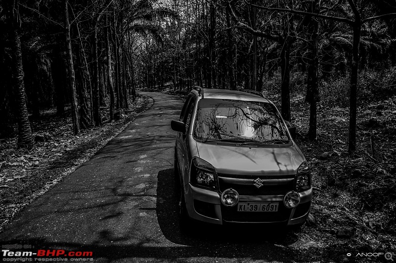 Voyage: Ellaveezhapoonchira, Kerala - A Solo Conquer-tn_dsc_0037.jpg