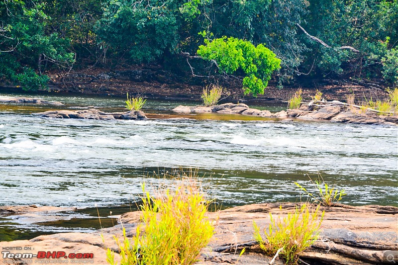 Voyage: Ellaveezhapoonchira, Kerala - A Solo Conquer-tn_dsc_0045.jpg