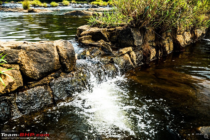 Voyage: Ellaveezhapoonchira, Kerala - A Solo Conquer-tn_dsc_0054.jpg