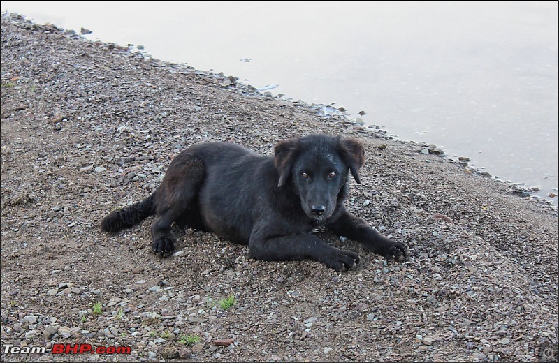 Moonface returns to the Lake of the Moon - Spiti & Chandratal-img_2348.jpg