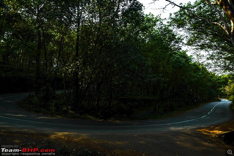 Voyage: Ellaveezhapoonchira, Kerala - A Solo Conquer-tn_dsc_0066.jpg