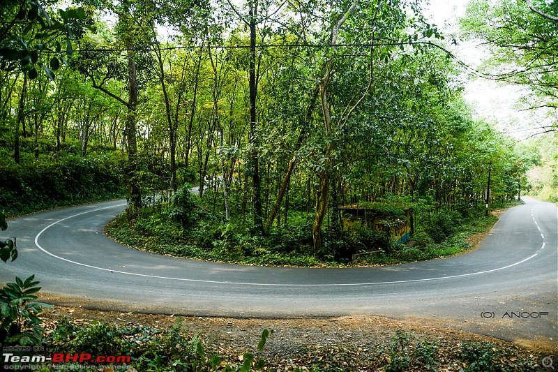 Voyage: Ellaveezhapoonchira, Kerala - A Solo Conquer-tn_dsc_0068.jpg